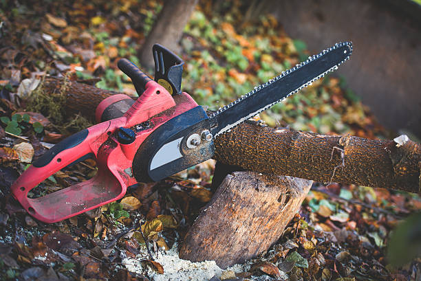 Leaf Removal in Columbus Grove, OH